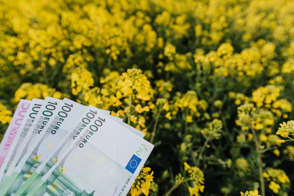 impôts case 7db réservée aux jardins