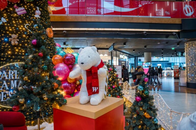 Conseils pour créer une ambiance féerique dans votre centre commercial pendant les fêtes